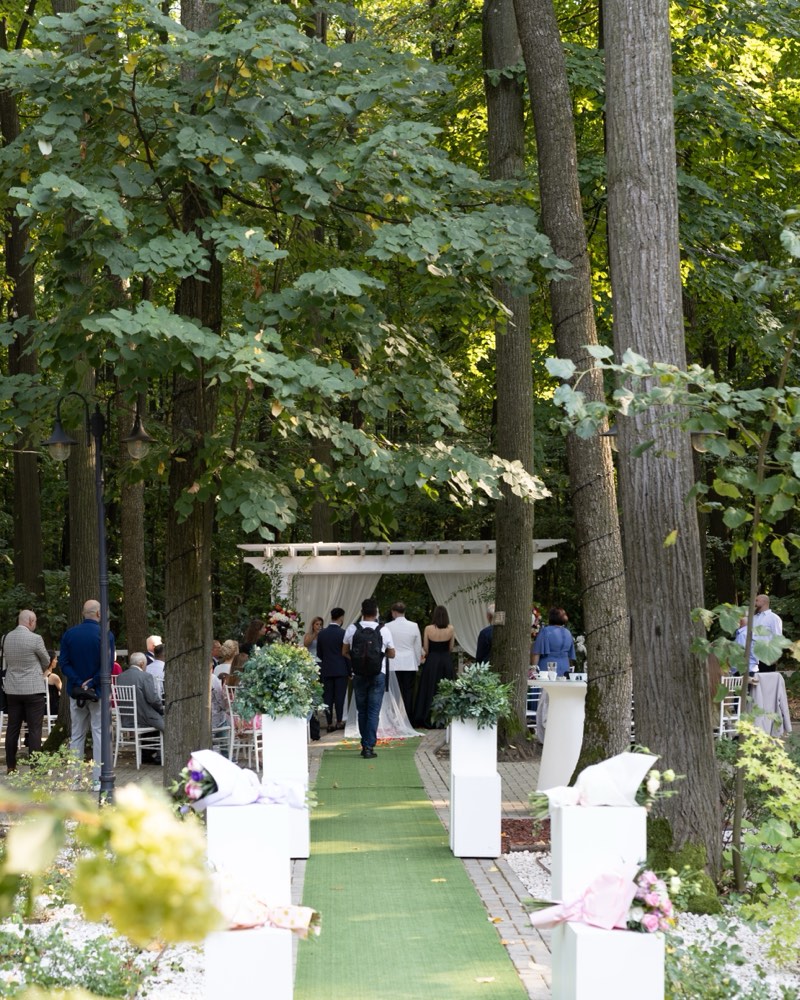 Cununie în pădure la Cireșul Sălbatic: o alee cu covor verde și flori albe duce spre arcul alb, printre copaci înalți, cu invitații de o parte și de alta